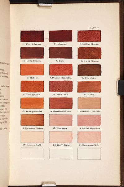 Swatches of various browns with names, plate 4 entire, A Nomenclature of Colors for Naturalists, by Robert Ridgway, 1886 (Linda Hall Library)