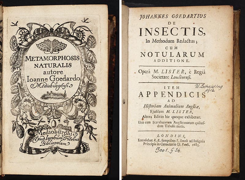 Engraved title page, Goedaert, Metamorphosis, 1662-69 (left) and the letter-press title page, Goedaert, De insectis, 1685 (right) (Linda Hall Library)