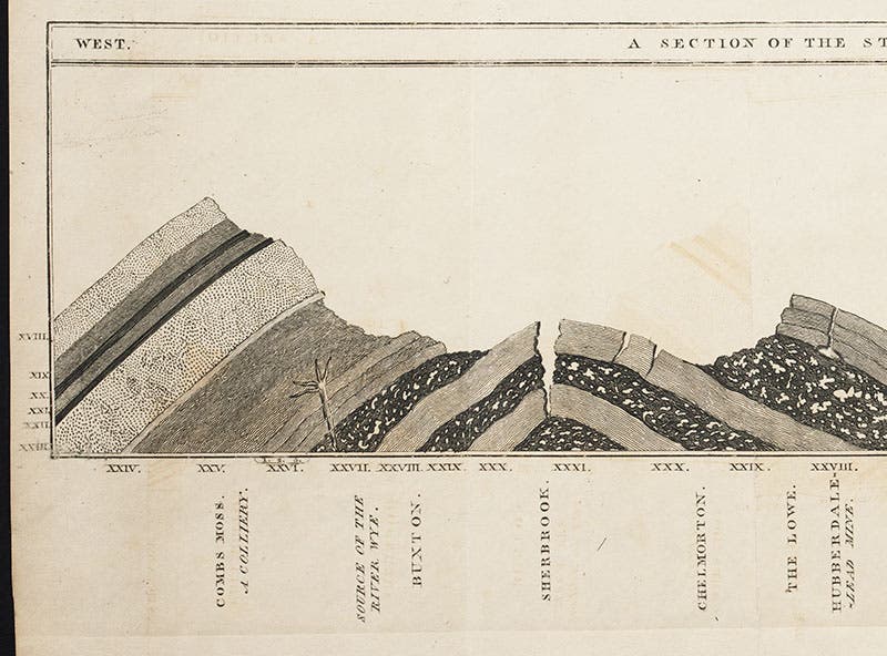 Detail of folding plate of Derbyshire strata, left 1/3, from Watson, Delineation, 1811 (Linda Hall Library)