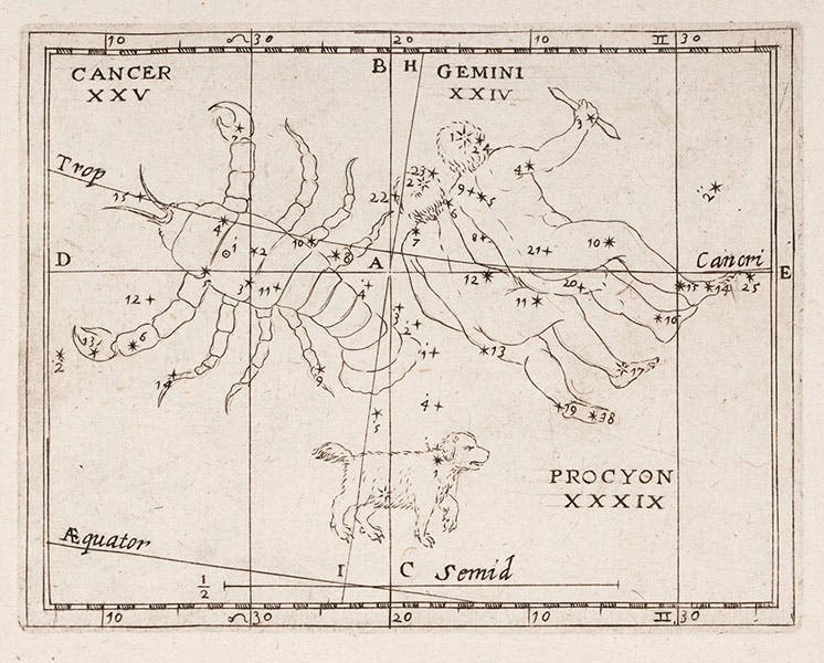 The constellations Gemini and Cancer, etching in Christoph Grienberger, Catalogus veteres … cum novis, 1612 (Linda Hall Library)