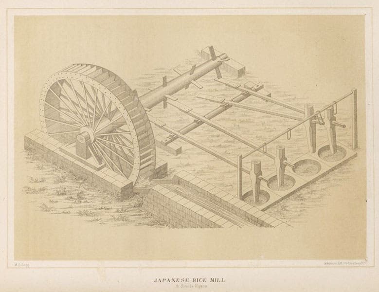 A Japanese rice mill, lithograph, in Francis L, Hawks, Narrative of the Expedition of an American Squadron to the China Seas and Japan, vol. 1, 1856 (Linda Hall Library)