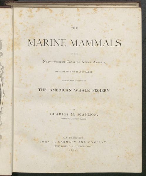 Titlepage, Charles Scammon, Marine Mammals, 1874 (Linda Hall Library)