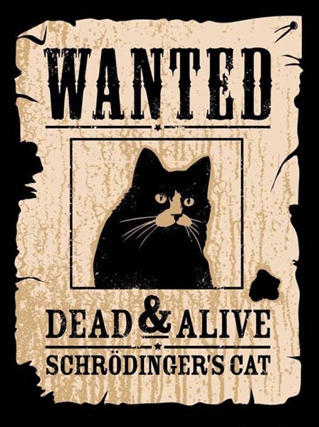 Schrödinger’s cat, cartoon poster (astronomicalreturns.com)