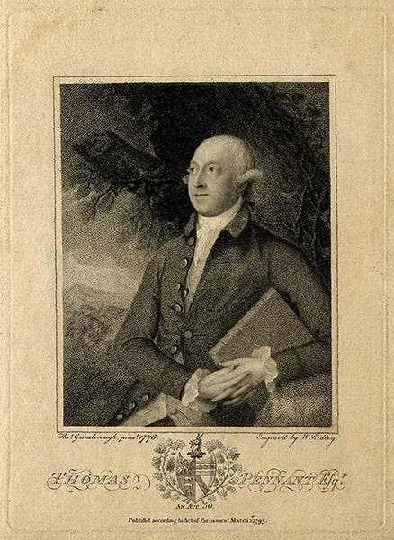 Thomas Pennant, portrait, stipple engraving by W. Ridley, 1793, after a painting by Thomas Gainsborough, 1776 (Wellcome Collection)
