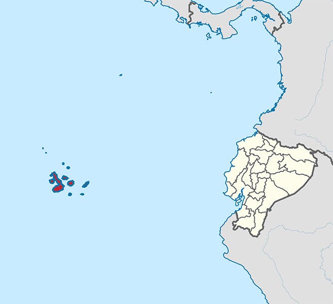 The location of the Galápagos Islands in relation to continental Ecuador (Wikimedia commons)