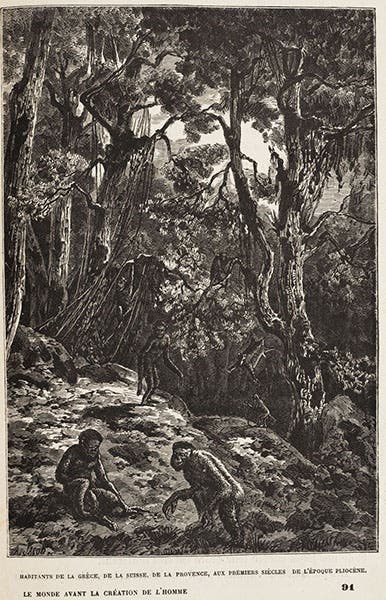 “The inhabitants of Greece, Switzerland, Provence, in the early centuries of the Pliocene,” wood engraving, in Le monde avant la création de l'homme, by Camille Flammarion, 1886 (Linda Hall Library)