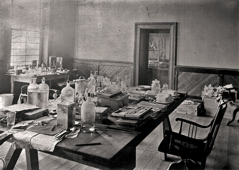 Robert Koch’s study and personal lab, Berlin (Robert Koch Institute, Berlin)