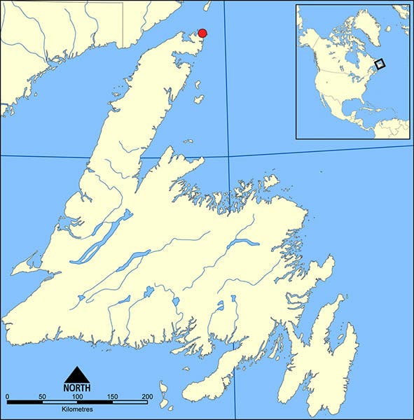 Map of Newfoundland, with l’Anse aux Meadows indicated by the red dot at the top (Wikimedia commons)