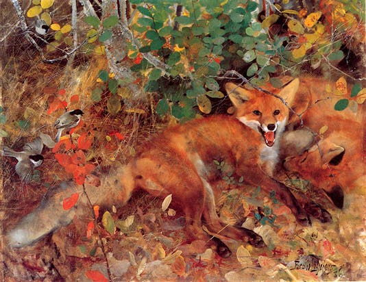 Foxes, oil on canvas, by Bruno Liljefors, Gothenburg Art Museum, 1886 (Wikimedia commons)