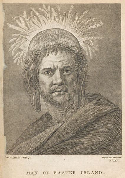 “Man of Easter Island,” engraving after William Hodges, in A Voyage towards the South Pole and Round the World, by James Cook, vol. 1, plate 46, 4th ed., 1784 (Linda Hall Library)