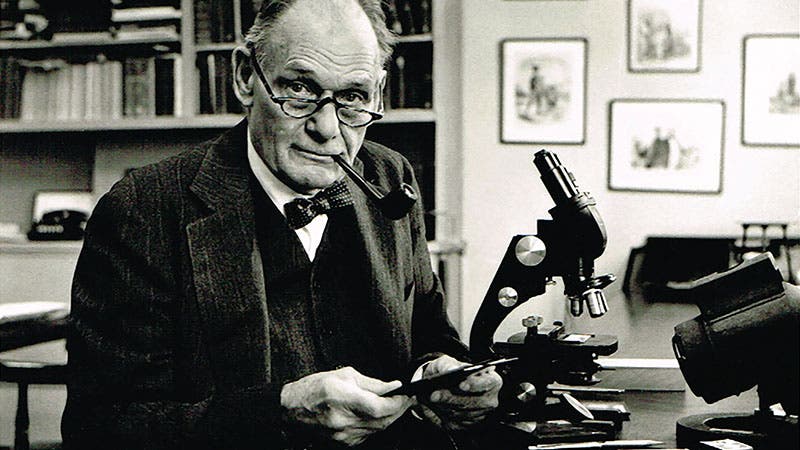 Portrait of John Franklin Enders, photograph, late 1950s?, St. Paul’s School (sps.edu)