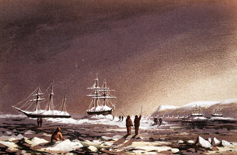 The four ships of the Austin expedition frozen in near Griffith Island in Barrow Strait in the Arctic archipelago, 1850-51; HMS Pioneer and HMS Resolute are in the foreground, lithograph, in Sherard Osborn, Stray Leaves from an Arctic Journal, 1852 (Linda Hall Library)