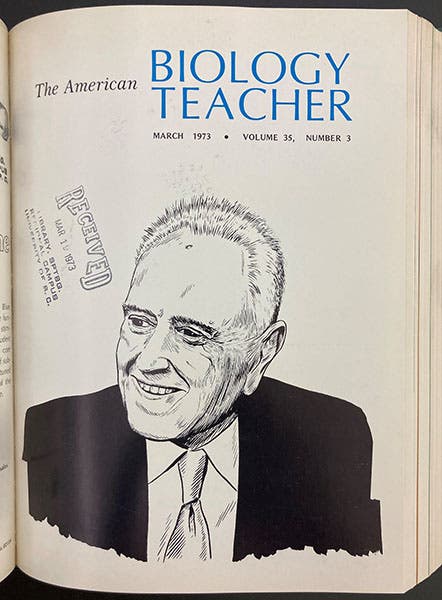 Cover of The American Biology Teacher, March 1973 issue, with sketch of Dobzhansky by Tom Williams (Linda Hall Library)