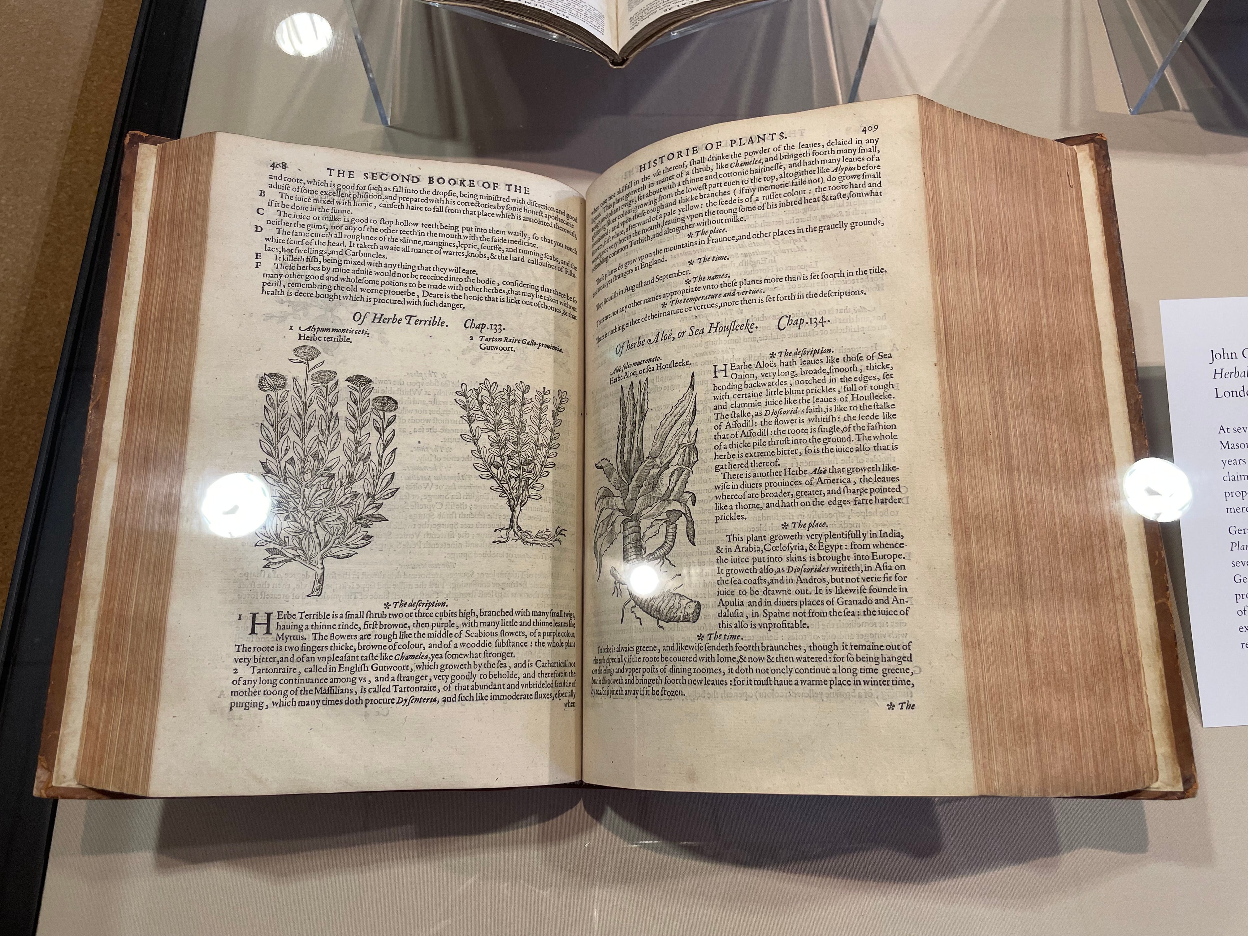 Photo of book by John Gerard, Herball, or Generall Historie of Plantes