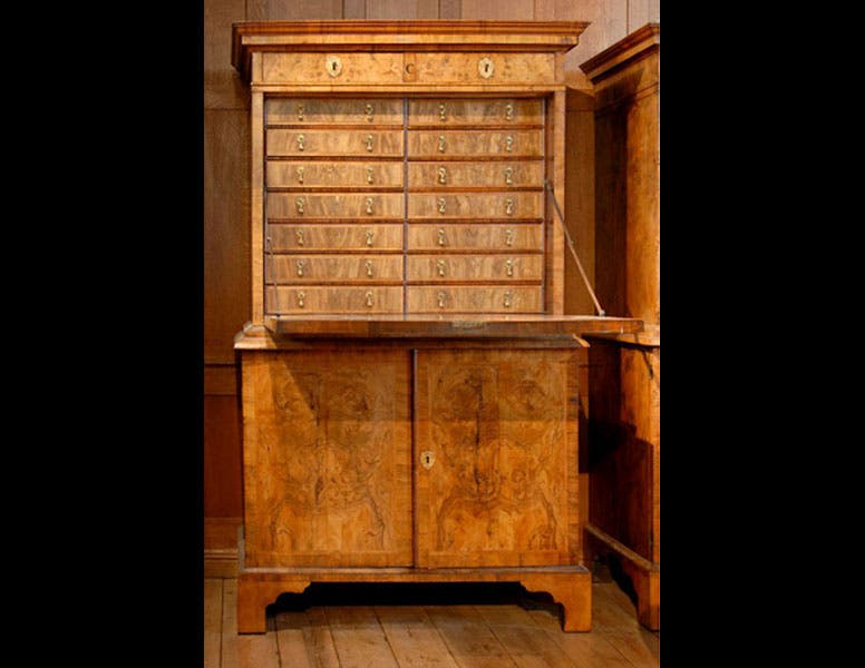 Sedgwick Museum of Earth Sciences