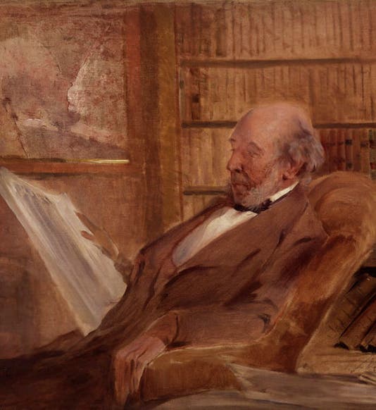 Portrait of Herbert Spencer, oil on canvas, by John McClure Hamilton, ca 1895 (National Portrait Gallery, London)