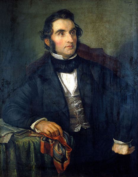 Justus von Liebig, oil on canvas, by Wilhelm Trautschold, 1845, Wellcome Collection, London (wellcomecollection.org)