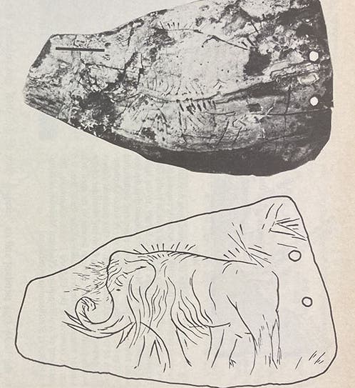 Photograph and sketch of the Holly Oak pendant, supposedly found by Hilborne T. Cresson at Holly Oak, Delaware, before 1865, Science, vol. 192, no. 4241, p. 757, May 21, 1976 (Linda Hall Library)