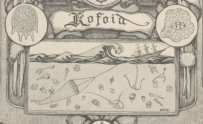 Detail of fifth image, bookplate of Charles Kofoid (Linda Hall Library)