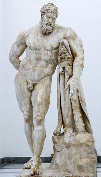 The Farnese Hercules, sculpted in marble ca 250 C.E., Museo Archeologico Nazionale, Naples (Wikimedia commons)