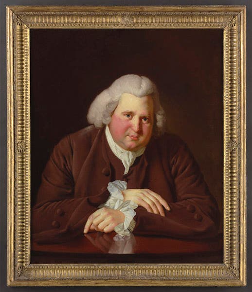 Portrait of Erasmus Darwin, oil on canvas, by Joseph Wright of Derby, 1770, Birmingham Museum and Art Gallery (arthistorynews.com)