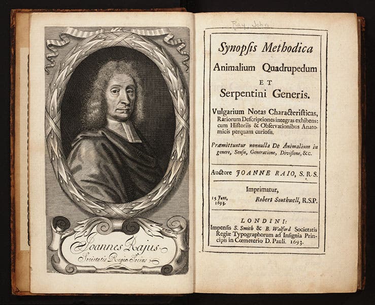 Title page and engraved frontispiece portrait, Synopsis methodica animalium quadrupedum et serpentini generis, by John Ray, 1693 (Linda Hall Library)