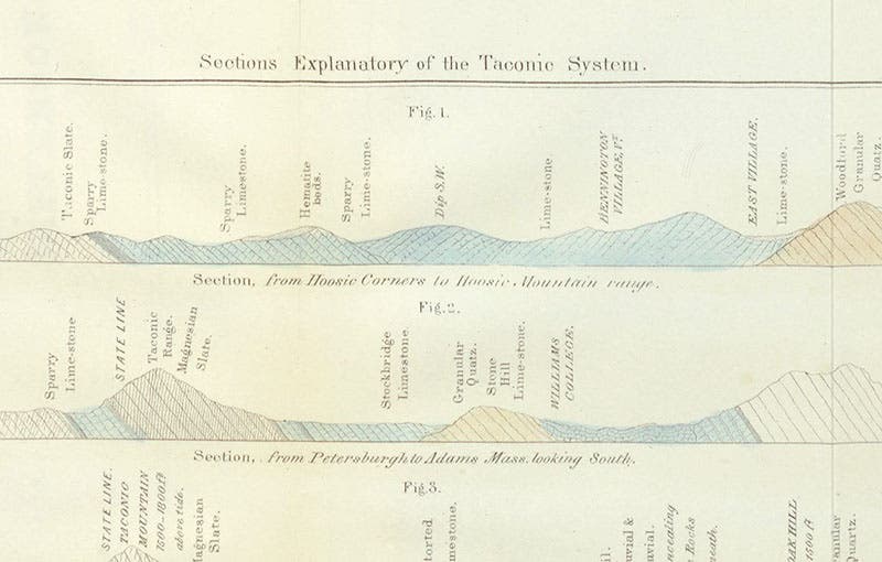 Sections showing elements of the Taconic system, detail of a larger engraved plate, Ebenezer Emmons, Geology of New York, vol. 2, 1842 (Linda Hall Library)
