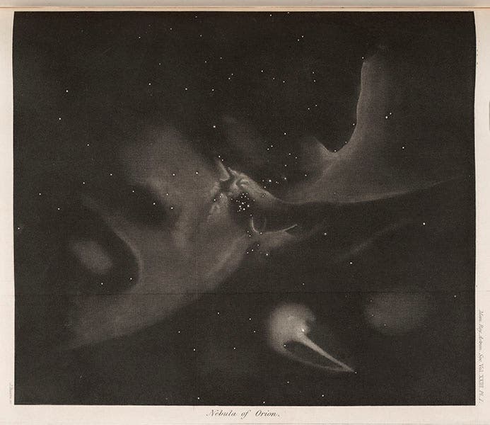 Great Nebula in Orion, mezzotint engraving by James Basire, based on a drawing by William Lassell, from the Memoirs of the Royal Astronomical Society, 1854 (Linda Hall Library)