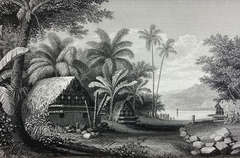 Tombs at Muthuata, Feejee, full-page etching based on a drawing by Alfred T. Agate, here cropped to image margin, in Narrative of the United States Exploring Expedition, by Charles Wilkes, 1845, quarto ed., vol. 3 (Linda Hall Library)