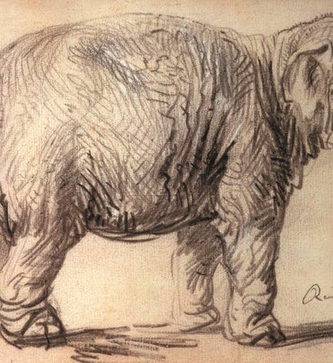 Sketch of Hansen by Rembrandt, chalk and charcoal on paper, 1637 (Albertina in Vienna via codart.nl)