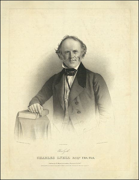 Portrait of Charles Lyell, lithograph by Albert Newsam after a daguerreotype by J.E. Mayall, Philadelphia, 1846, offered by Barry Lawrence Ruderman, Antique Maps Inc. (rarebooks.com)