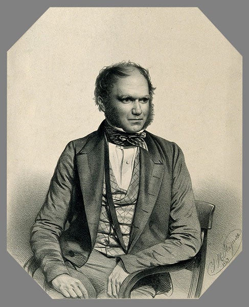 Charles Darwin, lithograph by Thomas Maguire, 1849 (Wellcome Collection)