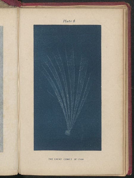 The comet of 1744, lithograph, in Denison Olmsted, The Mechanism of the Heavens, 1850 (Linda Hall Library)