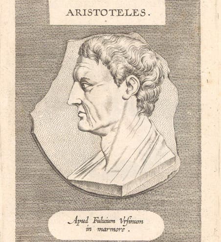 Portrait of Aristotle, by Theodor Galle, engraving after a cameo, coin, gem, or relief in the collection of Fulvio Orsini, in Galle’s Illustrium imagines, 1606 (Linda Hall Library)