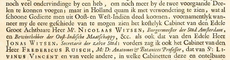 Maria Merian praises the cabinet of curiosities of Nicolaas Witsen, detail of image above (Linda Hall Library)