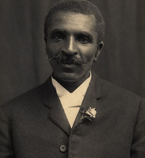 Portrait of George Washington Carver, photograph, ca 1910, Tuskegee University Archives/Museum (Wikipedia)