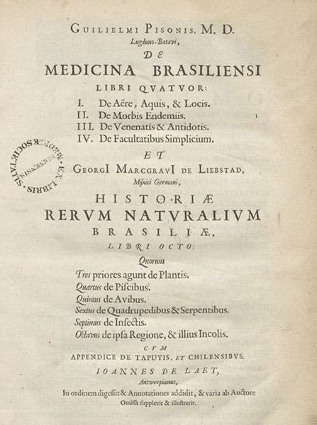 Type-set title page, crediting Willem Piso, Georg Markgraf, and Johannes De Laet, Historia naturalis Brasiliae, 1648 (Linda Hall Library)