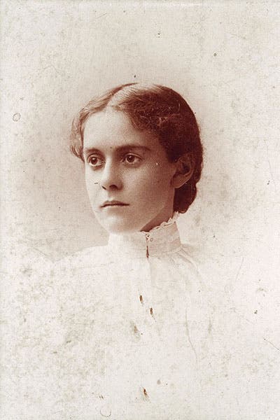 Portrait of Alice Hamilton, age 24, just graduated from medical school, photograph,1893 (connecticuthistory.org)