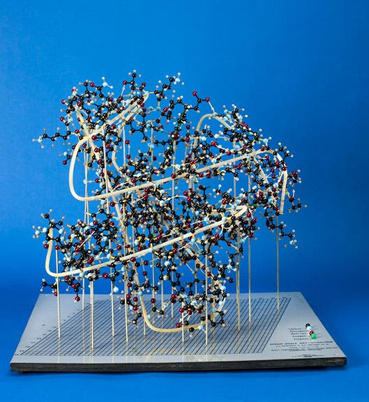 Model of myoglobin after John Kendrew, constructed in 1966 for teaching purposes, National Museum of American History, Smithsonian Institution (americanhistory.si.edu)