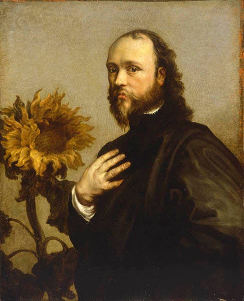 Portrait of Kenelm Digby, with sunflower, oil on canvas, by Anthony van Dyck, 1630s, Royal Museums Greenwich (collections.rmg.co.uk)