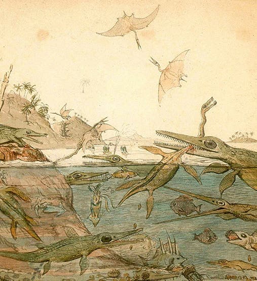 <i>Duria Antiquior</i>, watercolor by Henry Thomas De la Beche, 1830, National Museum of Wales (Wikimedia commons)