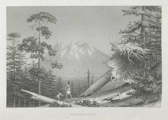 “Shaste Peak,” engraved plate after a drawing by Alfred Agate, in Charles Wilkes, <i>Narrative of the United States Exploring Expedition</i>, 1845 (Linda Hall Library)