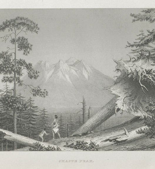 “Shaste Peak,” engraved plate after a drawing by Alfred Agate, in Charles Wilkes, <i>Narrative of the United States Exploring Expedition</i>, 1845 (Linda Hall Library)
