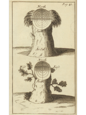 Pierre le Lorrain observes the patterns of ring growth in trees in relation to ordinal direction in Curiosities of nature and art in husbandry and gardening, 1707.