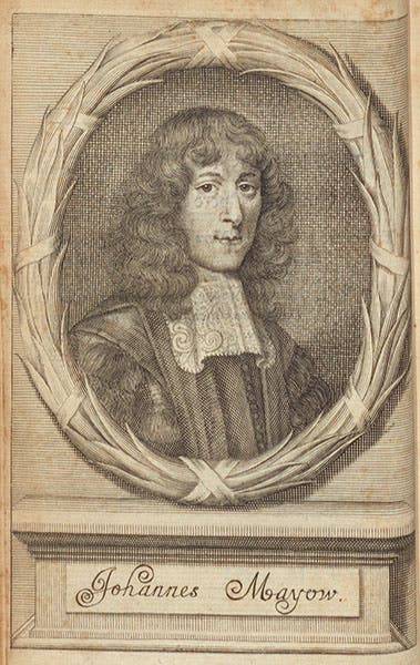 Portrait of John Mayow, engraved frontispiece to his Opera omnia, medico-physica, tractatus quinque comprehensa, 1681 (Linda Hall Library)