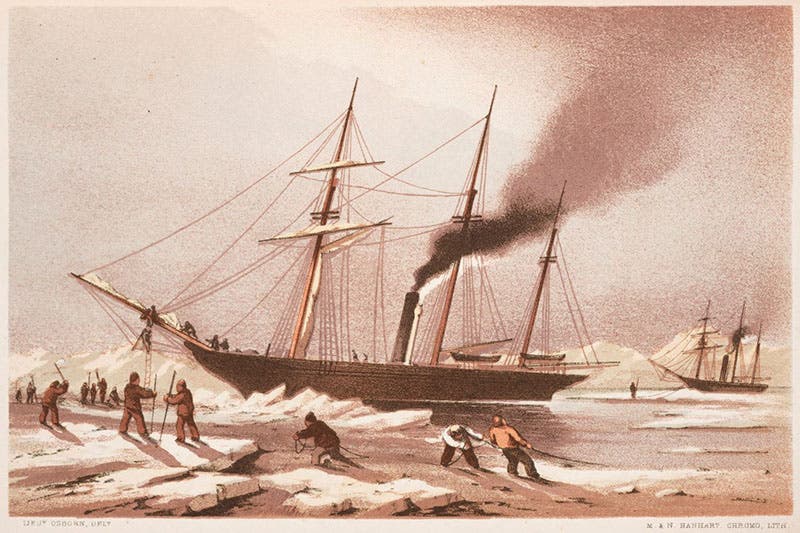 The steam-tender Pioneer, commanded by Sherard Osborn, tinted lithograph after a drawing by Osborn, in Stray Leaves from an Arctic Journal, by Sherard Osborn, 1852 (Linda Hall Library)