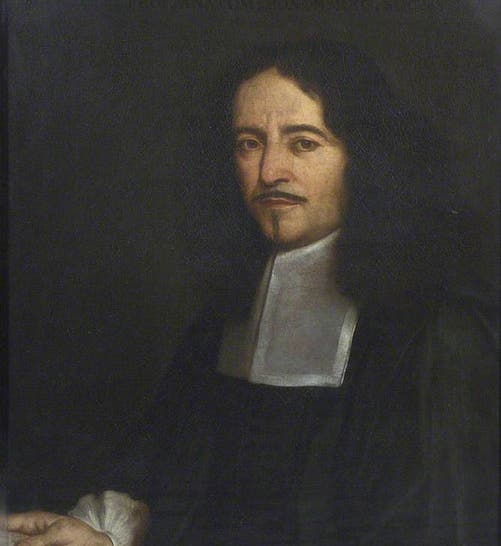 Portrait of Marcello Malpighi, oil, Royal Society of London, undated (artUK.org)