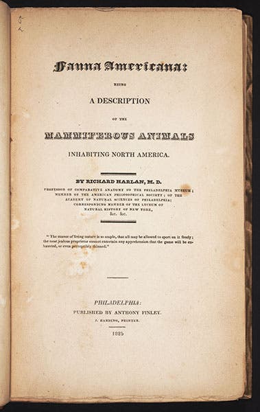 Title page of Richard Harlan, Fauna Americana (1825), copy in Linda Hall Library