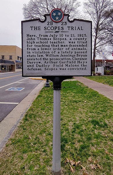 Historic marker, The Scopes Trial, Dayton, Tennessee , recent photograph (Wikimedia commons)
