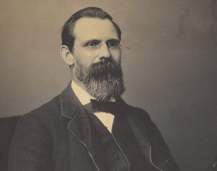 Portrait of Charles Lapworth, undated photograph, University of Birmingham (birmingham.ac.uk)